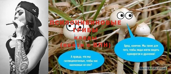 молекула духа Алзамай