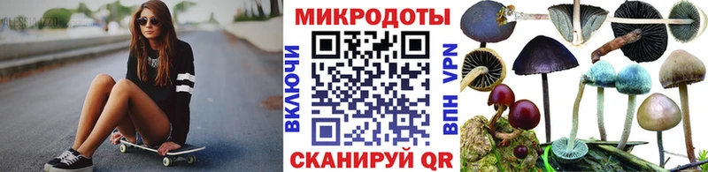 Псилоцибиновые грибы мицелий  купить закладку  Лаишево 